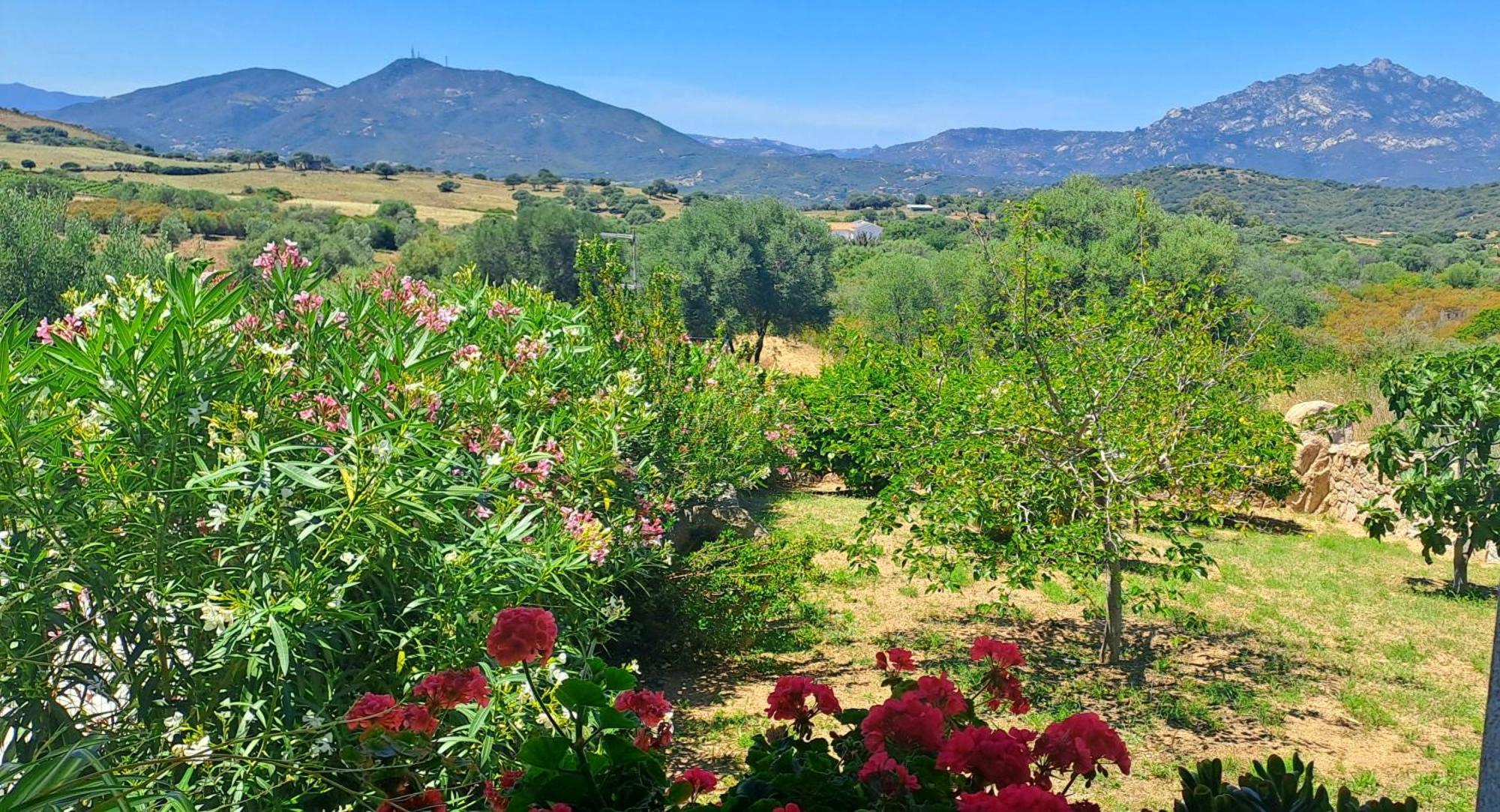 Villa Casa Sole à Rudalza Chambre photo